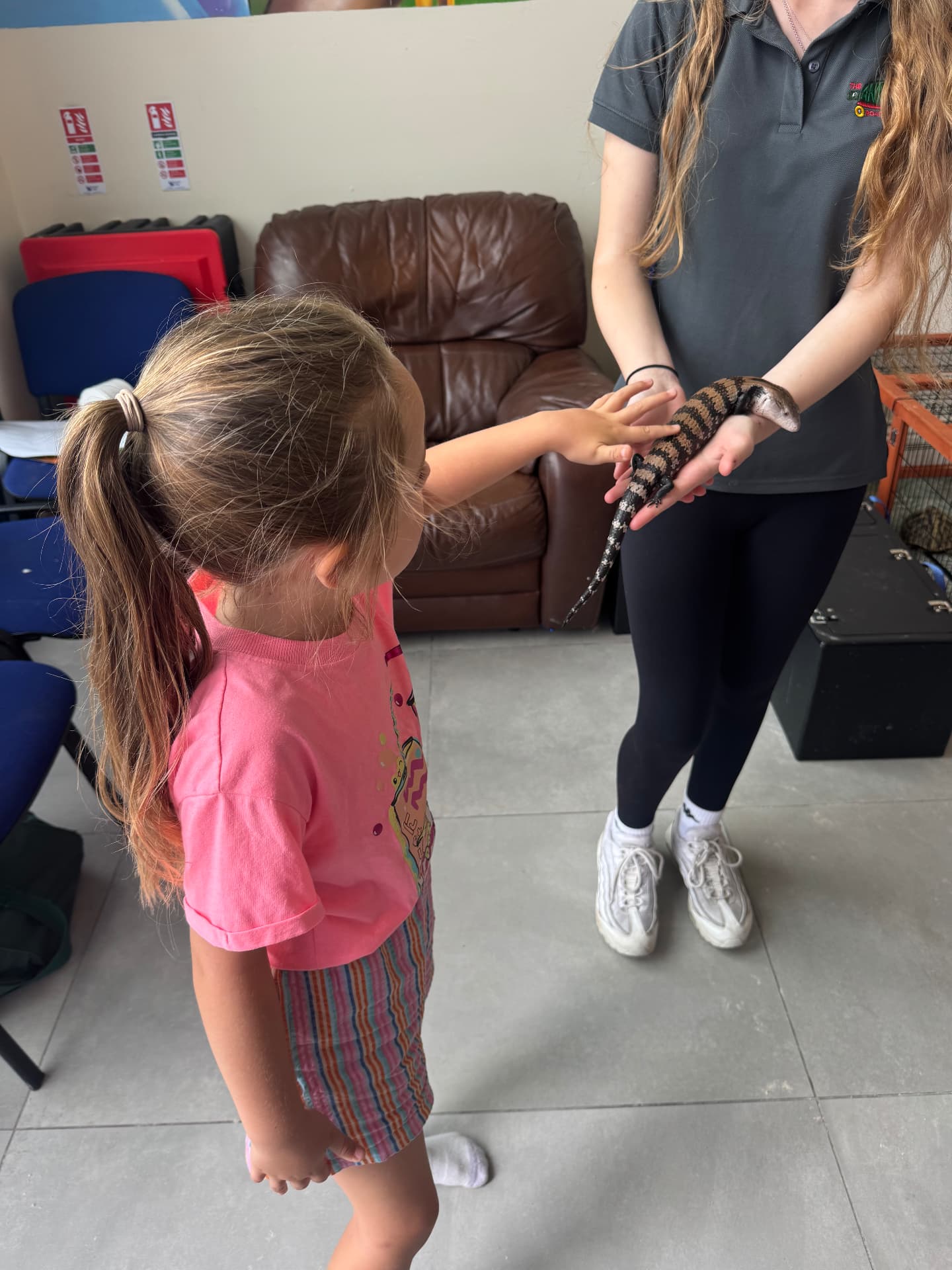 A young girl gently touching a blue-tongued skink held by a handler at the ASD Ireland summer camp.